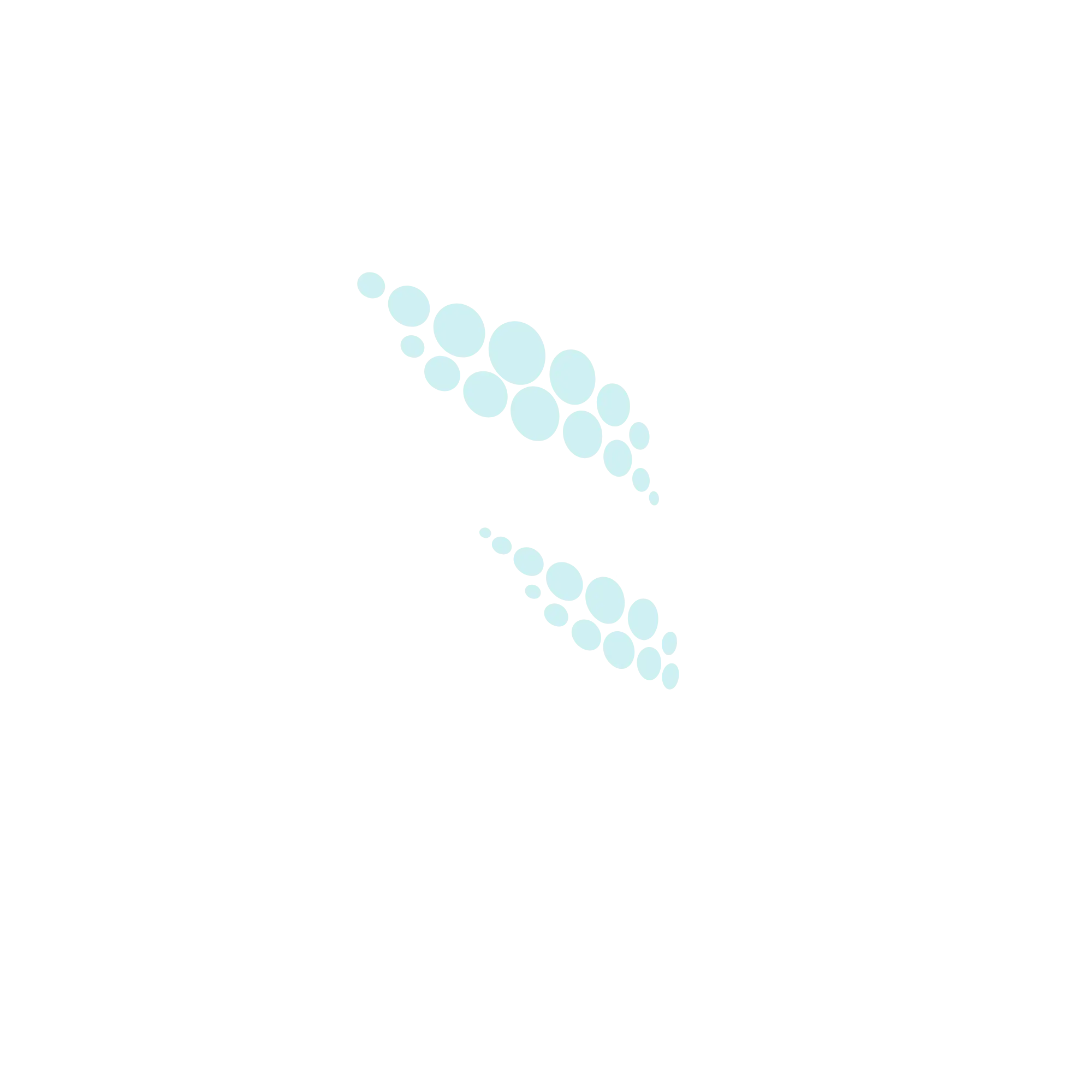 logo transparent white